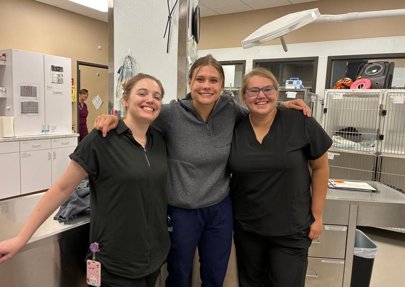 Carousel Slide 6: Skilled and compassionate nurses
