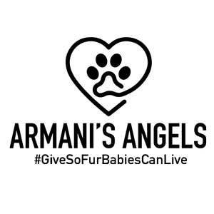 Armani's Angels
