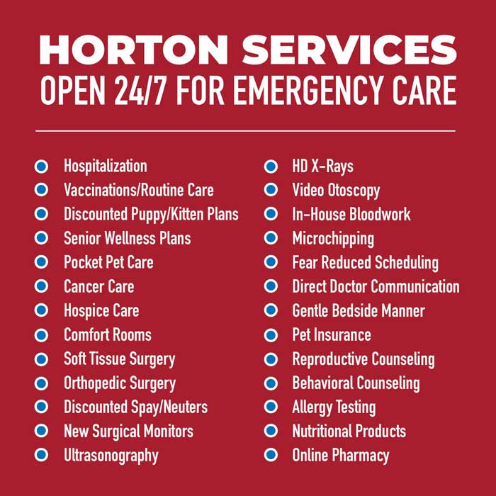 Horton Discovery ER Services