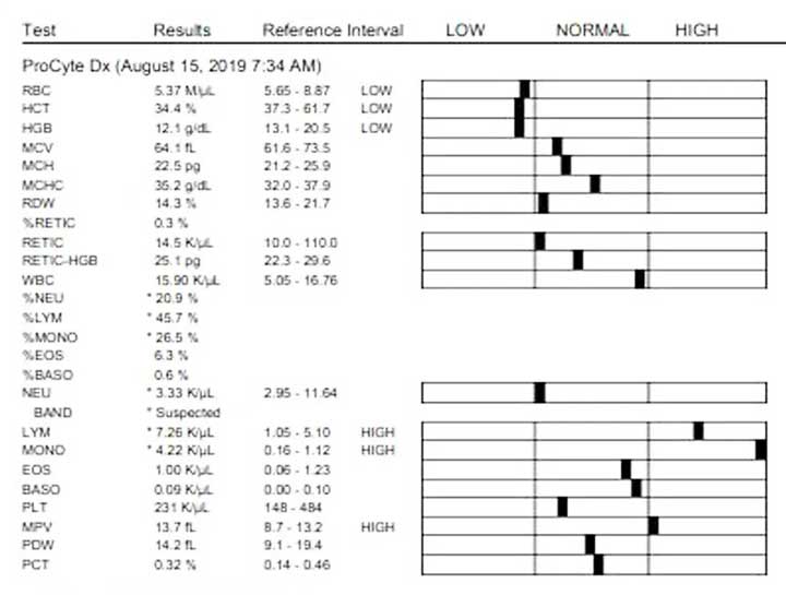 Cat & Dog Diagnosis